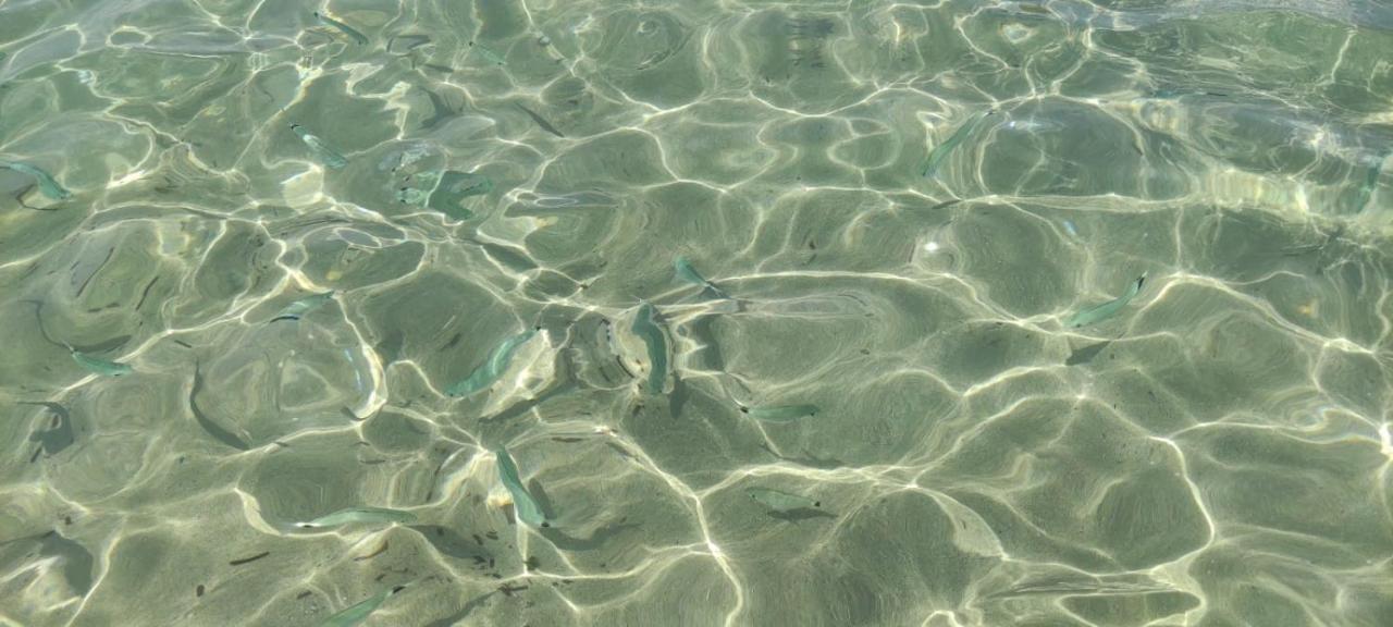 Appartamento Lu Bagnu Castelsardo Bagian luar foto